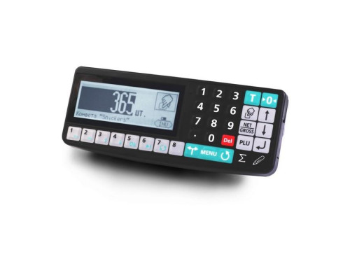 Купить Весы платформенные Масса-К 4D-P.S-3-2000-RA от Масса-К
